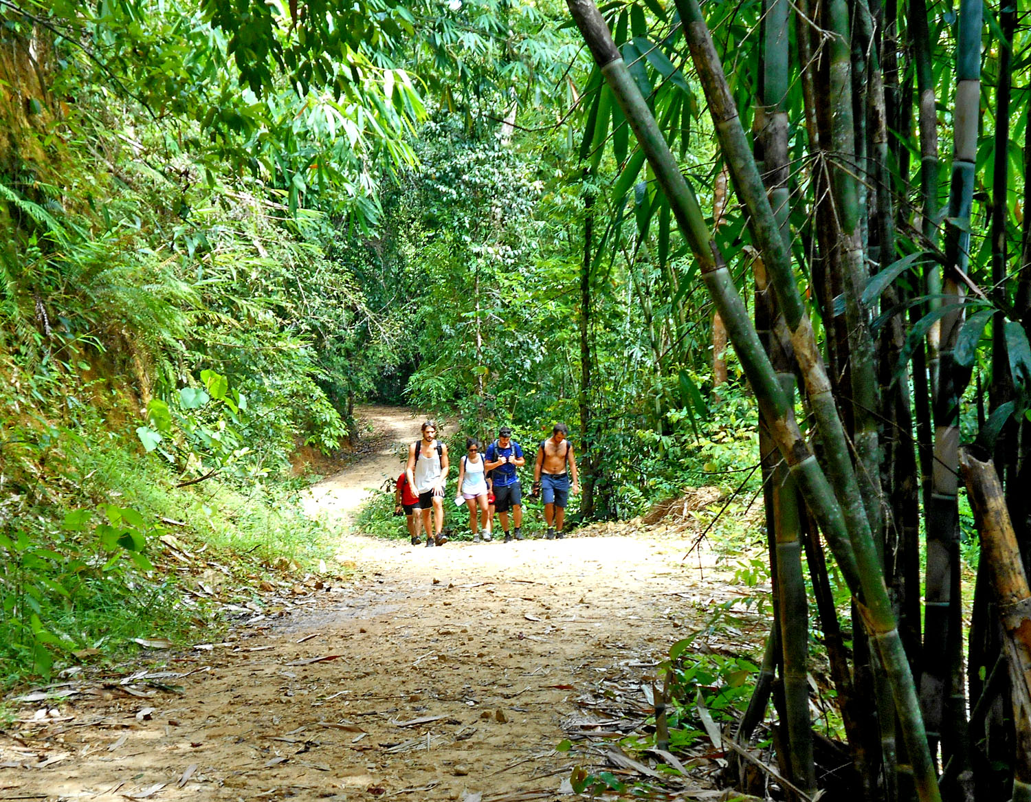 Trekking Khao Sok Parco Nazionale